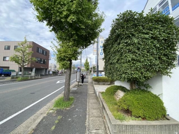 建物前の刈り込まれた植栽と、イチョウの街路樹が並ぶ歩道。左に車道と西京区の街並み