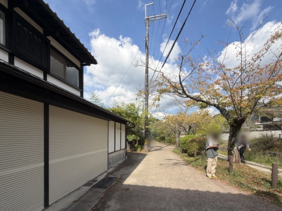 建物の脇から見た前面の道。電柱、桜の木、植え込みと木の柵が道沿いに並ぶ