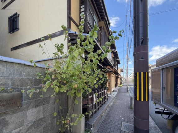 歩道から通りの奥を見た花立町貸家の周辺。隣家の石塀と植栽の向こうに町家の木柵と2階の窓が見え、右手に電柱と車道がある