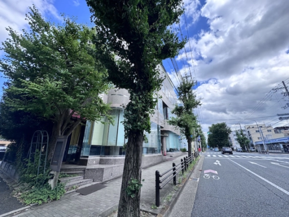 北白川の一棟貸建物を左手に見た外観。街路樹の並ぶ歩道と前面道路