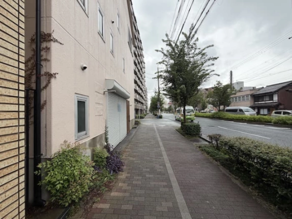 建物を左手に見た前面道路。店舗前の歩道と車道を隔てる街路樹や植え込み
