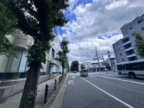 北白川久保田町テナント前の道路。左手の街路樹と向かい側の建物