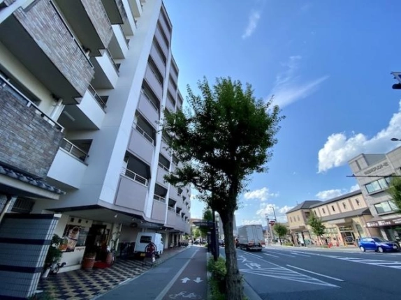 北大路通沿いの建物と前面歩道。左手に1階店舗、中央に街路樹、右手に車道